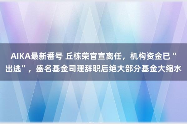 AIKA最新番号 丘栋荣官宣离任，机构资金已“出逃”，盛名基金司理辞职后绝大部分基金大缩水