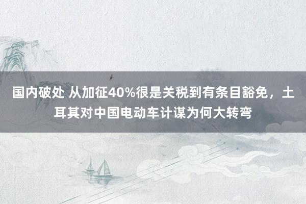 国内破处 从加征40%很是关税到有条目豁免，土耳其对中国电动车计谋为何大转弯