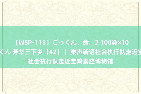 【WSP-113】ごっくん、命。2 100発×100人×一撃ごっくん 芳华三下乡【42】｜ 秦声新语社会执行队走近宝鸡秦腔博物馆