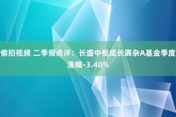 偷拍视频 二季报点评：长盛中枢成长羼杂A基金季度涨幅-3.40%