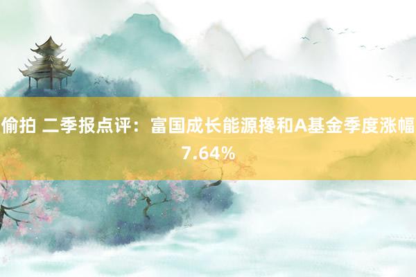 偷拍 二季报点评：富国成长能源搀和A基金季度涨幅7.64%