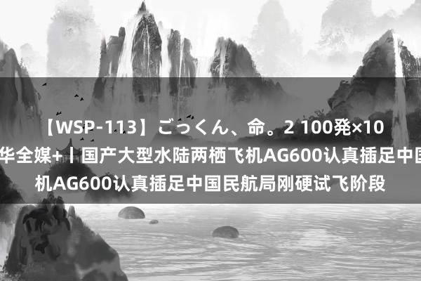 【WSP-113】ごっくん、命。2 100発×100人×一撃ごっくん 新华全媒+丨国产大型水陆两栖飞机AG600认真插足中国民航局刚硬试飞阶段