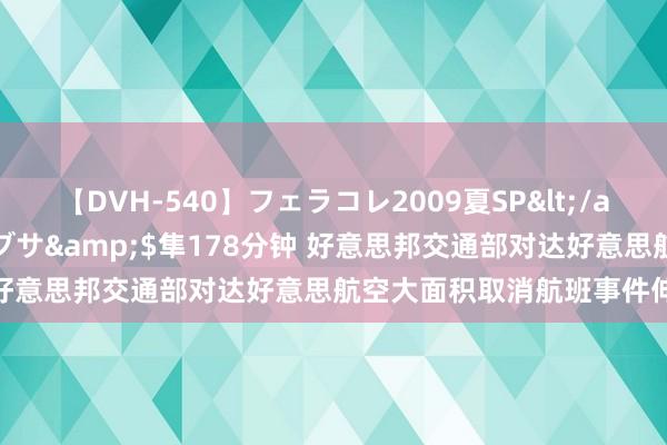 【DVH-540】フェラコレ2009夏SP</a>2010-04-25ハヤブサ&$隼178分钟 好意思邦交通部对达好意思航空大面积取消航班事件伸开造访