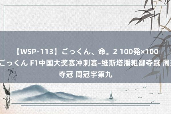 【WSP-113】ごっくん、命。2 100発×100人×一撃ごっくん F1中国大奖赛冲刺赛-维斯塔潘粗鄙夺冠 周冠宇第九