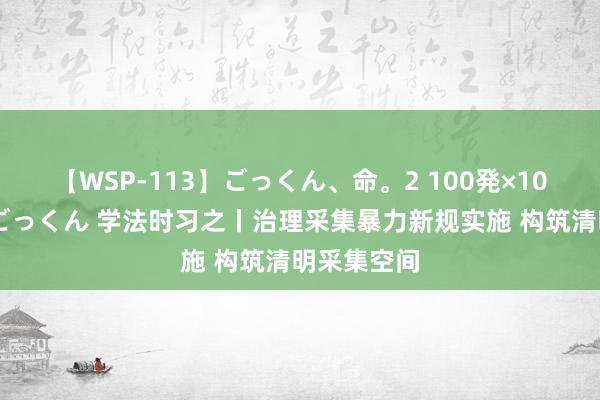 【WSP-113】ごっくん、命。2 100発×100人×一撃ごっくん 学法时习之丨治理采集暴力新规实施 构筑清明采集空间