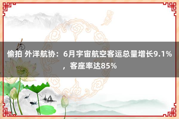 偷拍 外洋航协：6月宇宙航空客运总量增长9.1%，客座率达85%