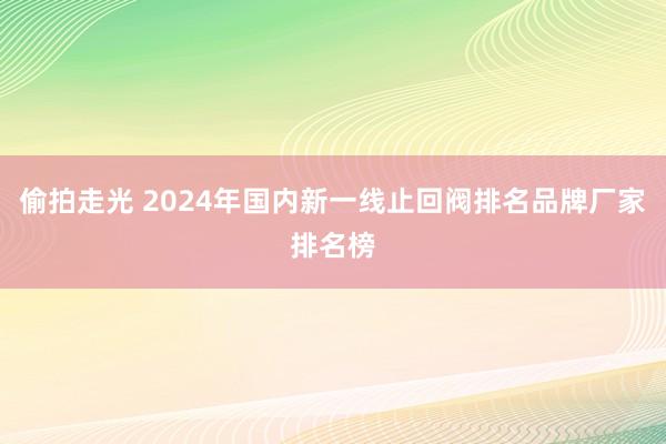 偷拍走光 2024年国内新一线止回阀排名品牌厂家排名榜