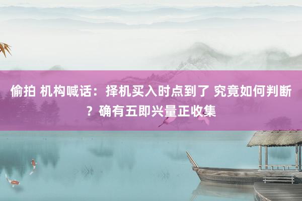 偷拍 机构喊话：择机买入时点到了 究竟如何判断？确有五即兴量正收集