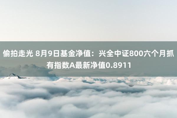 偷拍走光 8月9日基金净值：兴全中证800六个月抓有指数A最新净值0.8911