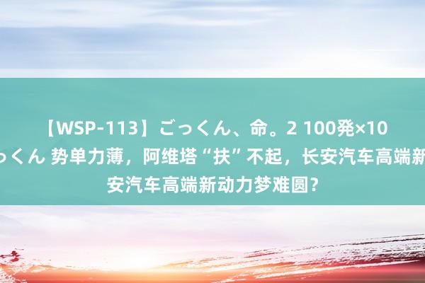 【WSP-113】ごっくん、命。2 100発×100人×一撃ごっくん 势单力薄，阿维塔“扶”不起，长安汽车高端新动力梦难圆？