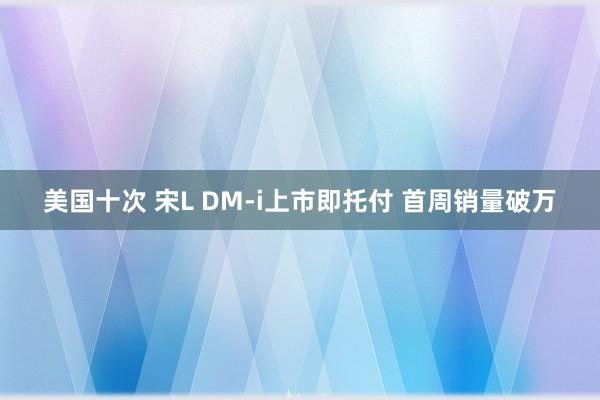 美国十次 宋L DM-i上市即托付 首周销量破万