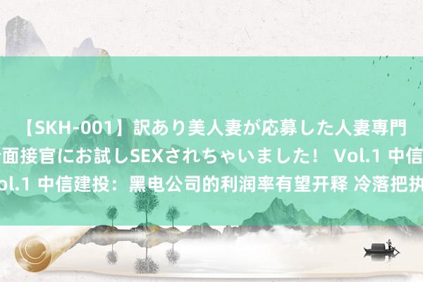 【SKH-001】訳あり美人妻が応募した人妻専門ハメ撮り秘密倶楽部で面接官にお試しSEXされちゃいました！ Vol.1 中信建投：黑电公司的利润率有望开释 冷落把执底部布局契机