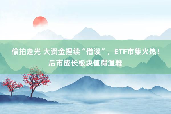 偷拍走光 大资金捏续“借谈”，ETF市集火热！后市成长板块值得温雅