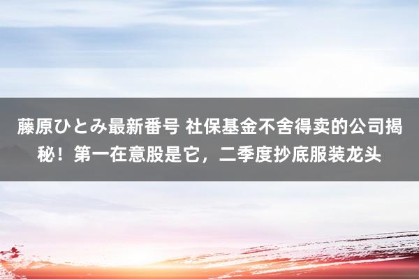 藤原ひとみ最新番号 社保基金不舍得卖的公司揭秘！第一在意股是它，二季度抄底服装龙头