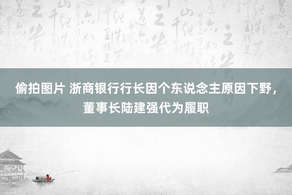 偷拍图片 浙商银行行长因个东说念主原因下野，董事长陆建强代为履职