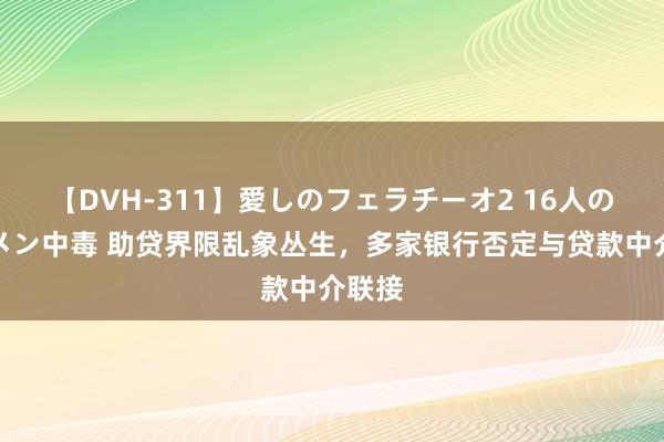 【DVH-311】愛しのフェラチーオ2 16人のザーメン中毒 助贷界限乱象丛生，多家银行否定与贷款中介联接