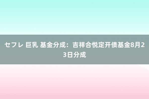 セフレ 巨乳 基金分成：吉祥合悦定开债基金8月23日分成