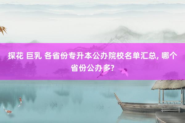 探花 巨乳 各省份专升本公办院校名单汇总， 哪个省份公办多?