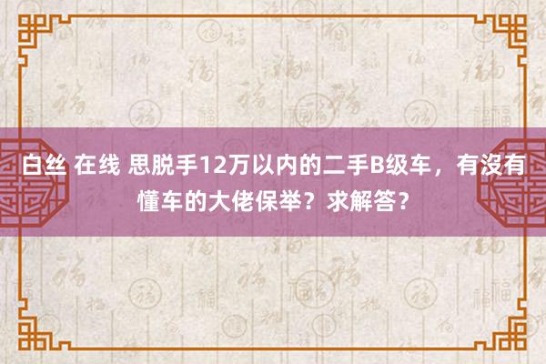 白丝 在线 思脱手12万以内的二手B级车，有沒有懂车的大佬保举？求解答？