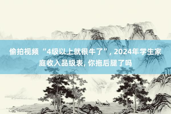 偷拍视频 “4级以上就很牛了”， 2024年学生家庭收入品级表， 你拖后腿了吗