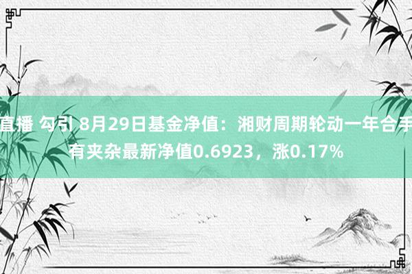 直播 勾引 8月29日基金净值：湘财周期轮动一年合手有夹杂最新净值0.6923，涨0.17%