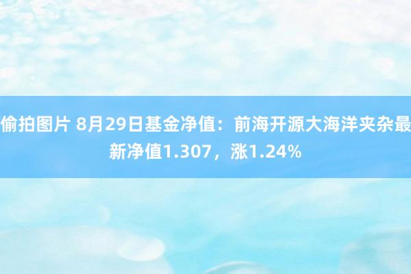 偷拍图片 8月29日基金净值：前海开源大海洋夹杂最新净值1.307，涨1.24%