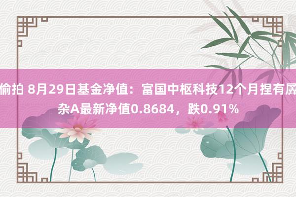 偷拍 8月29日基金净值：富国中枢科技12个月捏有羼杂A最新净值0.8684，跌0.91%