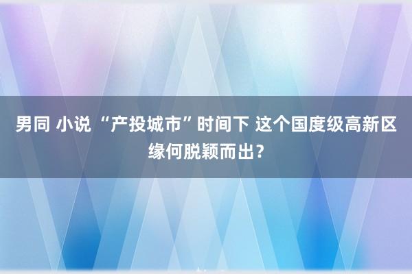 男同 小说 “产投城市”时间下 这个国度级高新区缘何脱颖而出？