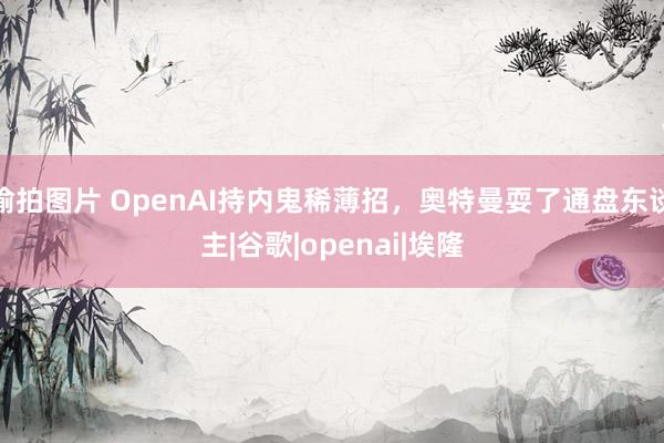 偷拍图片 OpenAI持内鬼稀薄招，奥特曼耍了通盘东谈主|谷歌|openai|埃隆