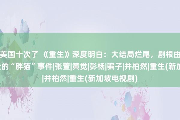 美国十次了 《重生》深度明白：大结局烂尾，剧根由料到了最近的“胖猫”事件|张萱|黄觉|彭杨|骗子|井柏然|重生(新加坡电视剧)