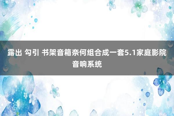 露出 勾引 书架音箱奈何组合成一套5.1家庭影院音响系统